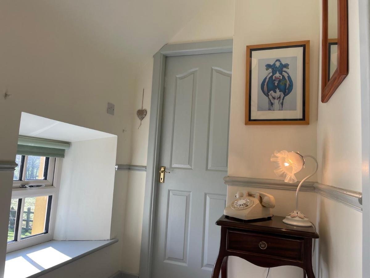 Kilmallock Mai'S Cottage Suite - Charming Holiday Rental מראה חיצוני תמונה